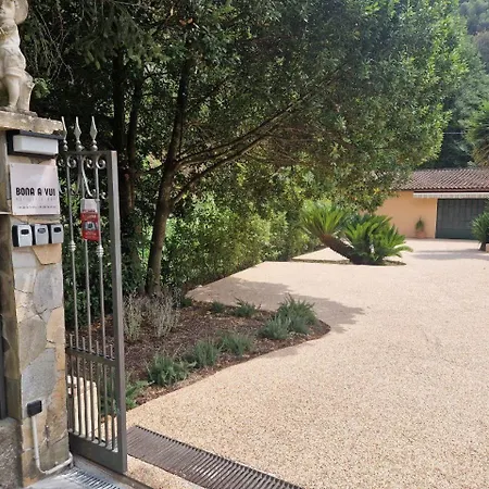 Bona A Vui